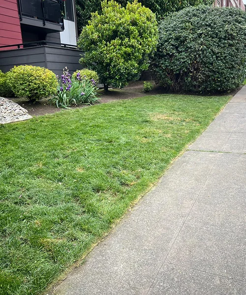 Landscape Maintenance in Kent 
